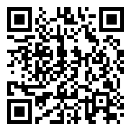 QR 代码 在主屏幕上添加 Max 的快捷方式 + 1 个应用